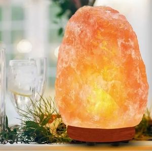 HIMALAYAN SALT LAMP W/ DIMMER - PRE-OWNED - ONE OWNER